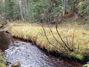 Kvennbekken (Ljørdalen) sag ruin3.jpg