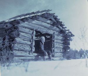 Elgsmyr-riset.jpg