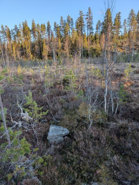Fil:Slåttmyra (Ljørdalen).jpg
