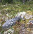 Miniatyrbilde av versjonen fra 4. mai 2025 kl. 11:54