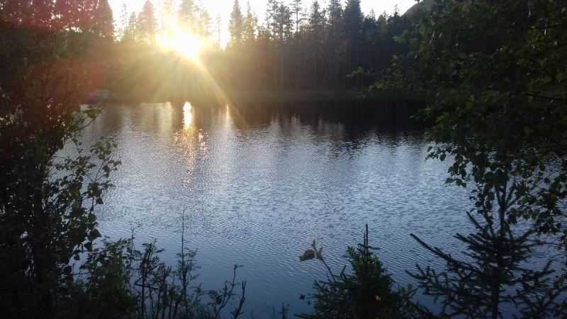 Fil:Markloken (Skåret).jpg