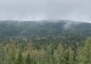 Skjærberget spesial3.jpg