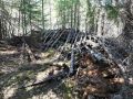 Miniatyrbilde av versjonen fra 11. jan. 2025 kl. 22:55