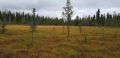 Miniatyrbilde av versjonen fra 9. feb. 2025 kl. 02:32