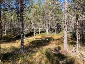 Hestveltloken sør for Ljørdalen.jpg
