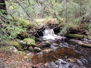 Kvennbekken (Ljørdalen) sag ruin1.jpg