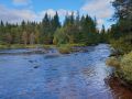 Miniatyrbilde av versjonen fra 9. sep. 2024 kl. 14:35