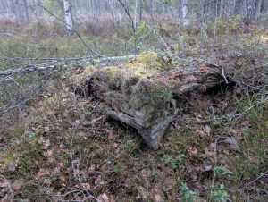 Torvstrøhus sør for Øvergård (Ljørdalen)1.jpg