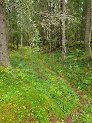 Støa kanal Nordre spillet 5.jpg