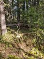 Miniatyrbilde av versjonen fra 2. jun. 2025 kl. 15:16