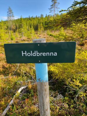 Holdbrenna1.jpg